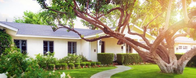 Vacation Check Request