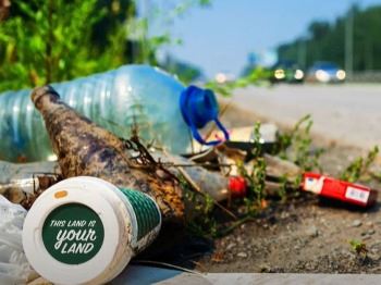 Great American Cleanup