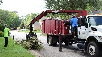 This is an image of yard debris collection