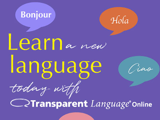 Learn what's new with Transparent Language Online