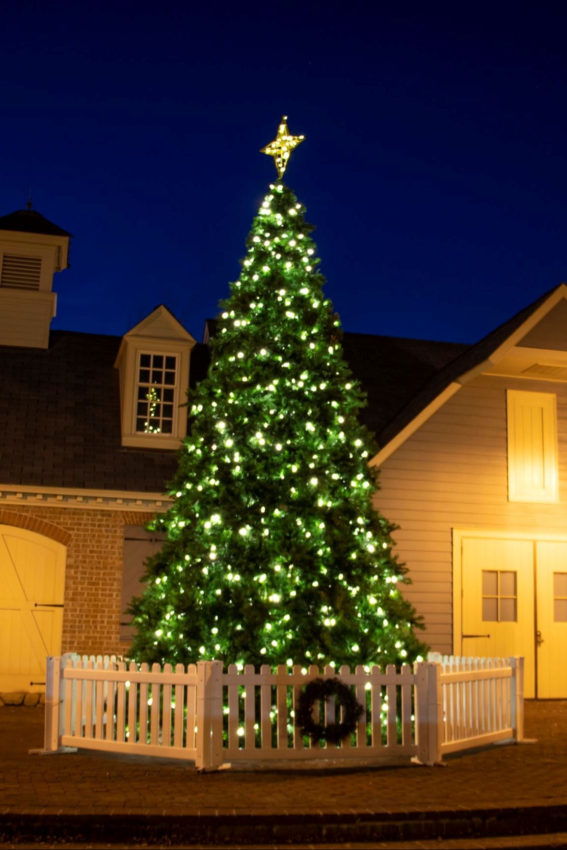 Christmas Tree - Riverwalk